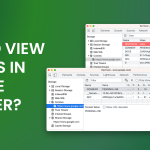 How to View Cookies in Chrome Browser?