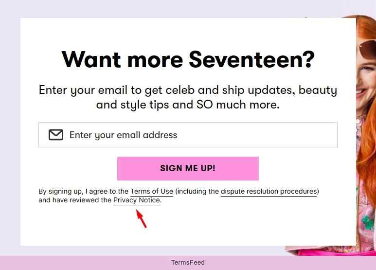 google ads privacy policy on email sign up